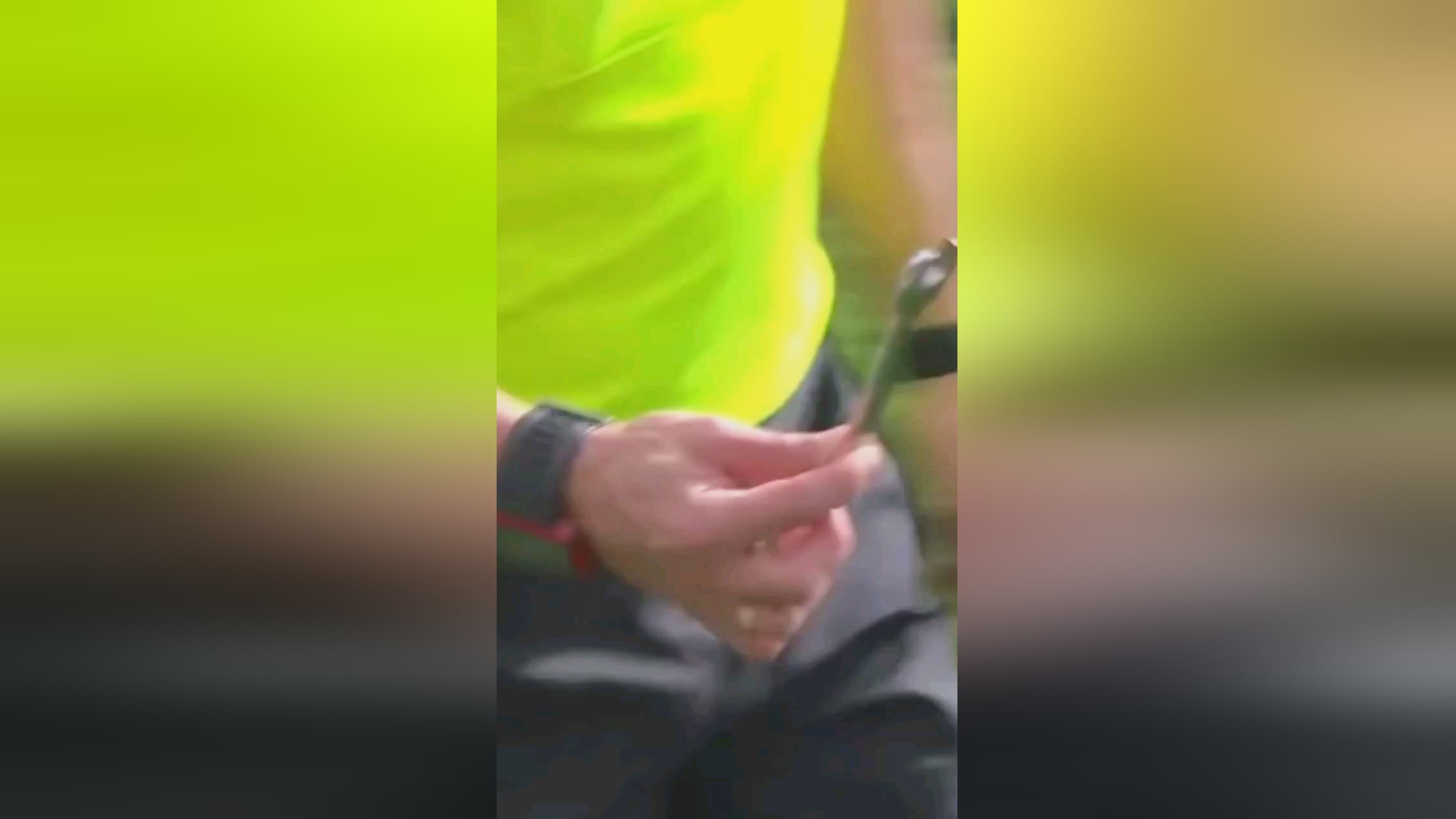 而凯尔特人