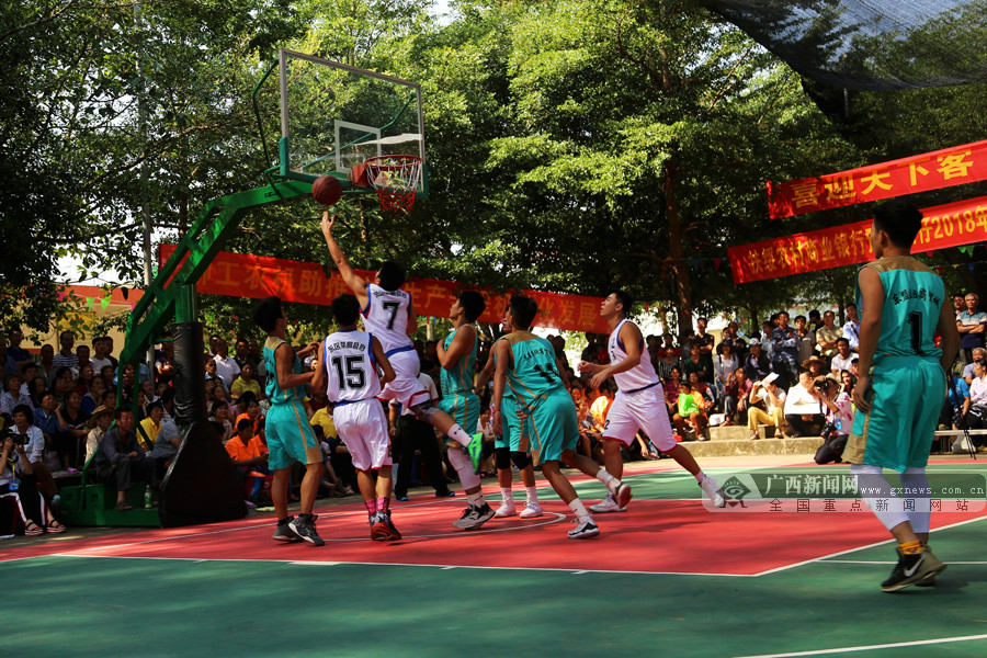 态与篮球智 态与篮球智